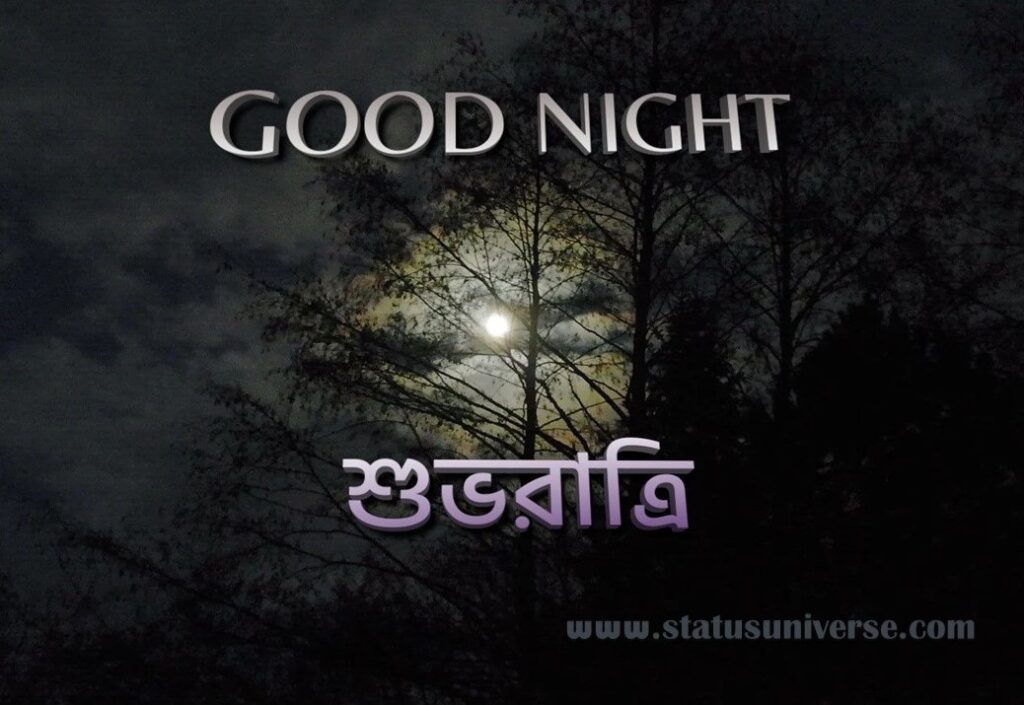 Good Night Wish in Bengali