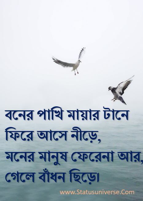 Bangla Love Shayari SMS