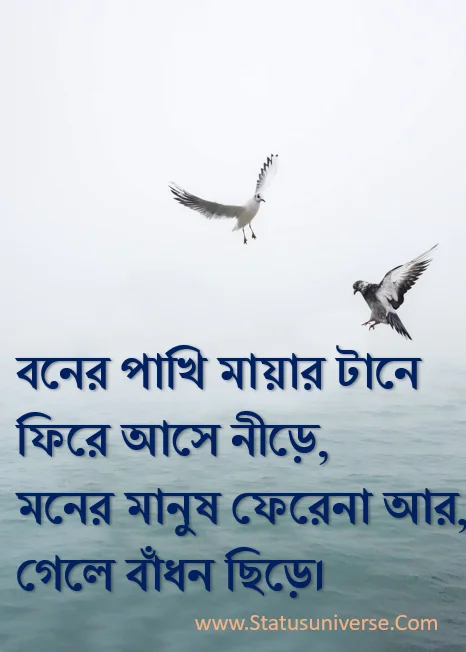 Bangla Love Shayari SMS