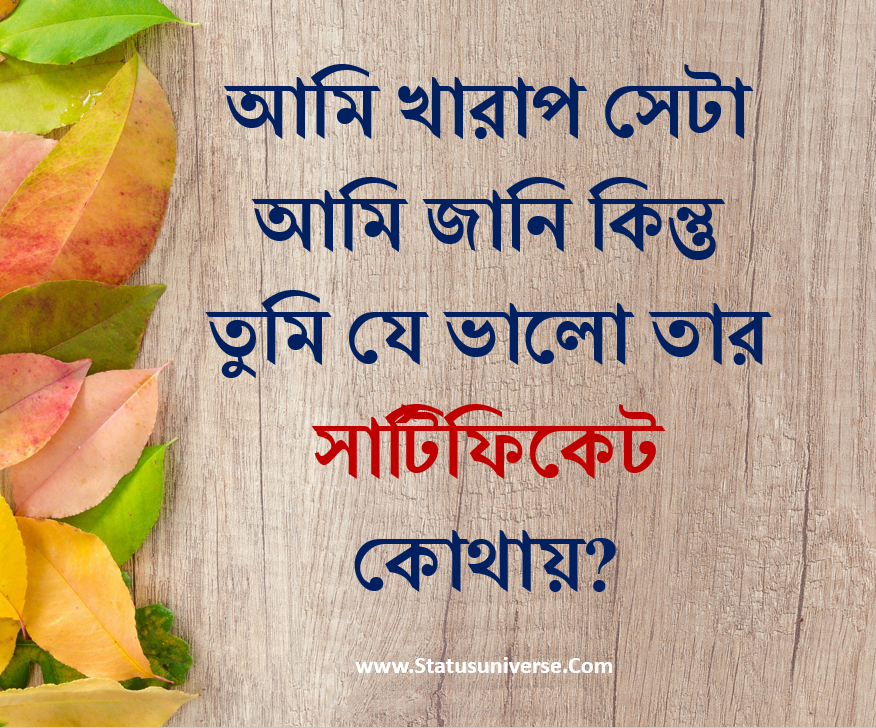 বাংলা Attitude কোটস, বাণী ও উক্তি