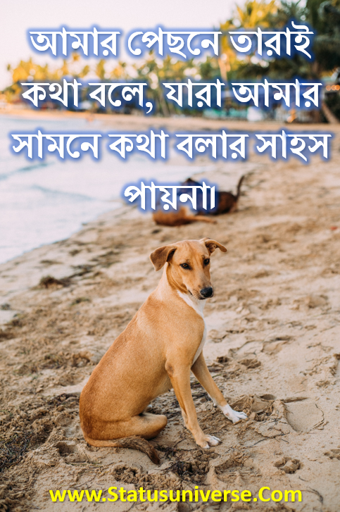 ছেলেদের জন্য বেস্ট ক্যাপশন বাংলা