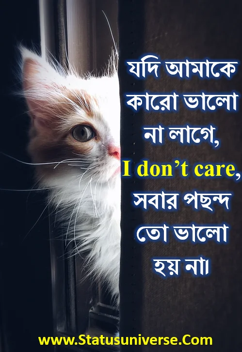 Cool Boys Attitude Caption in Bengali