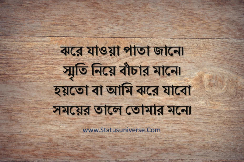 Best sad status in bengali