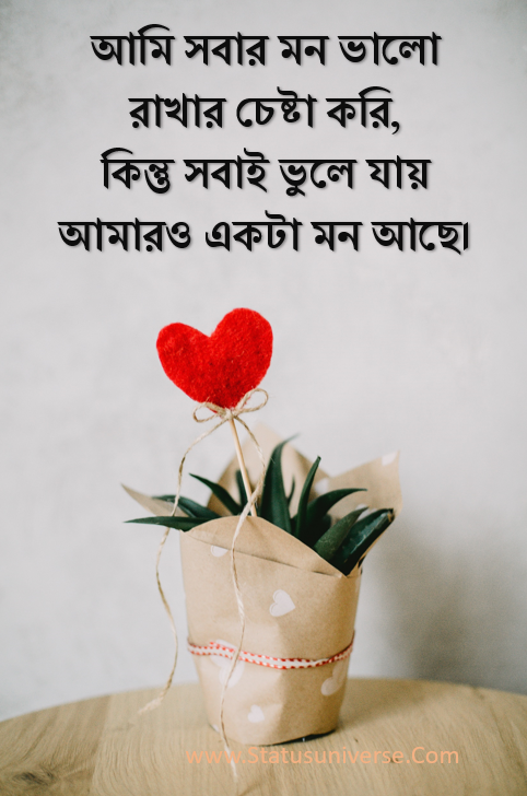 Bengali SadLove Status PIc