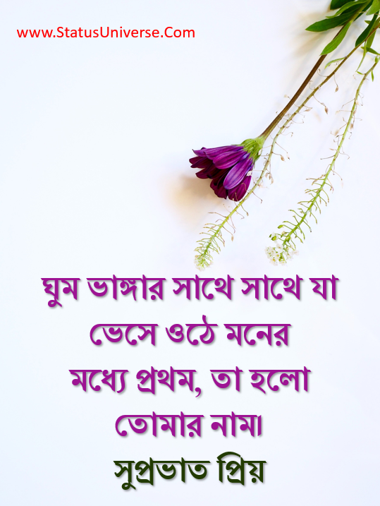 Good Morning Wishes in Bengali