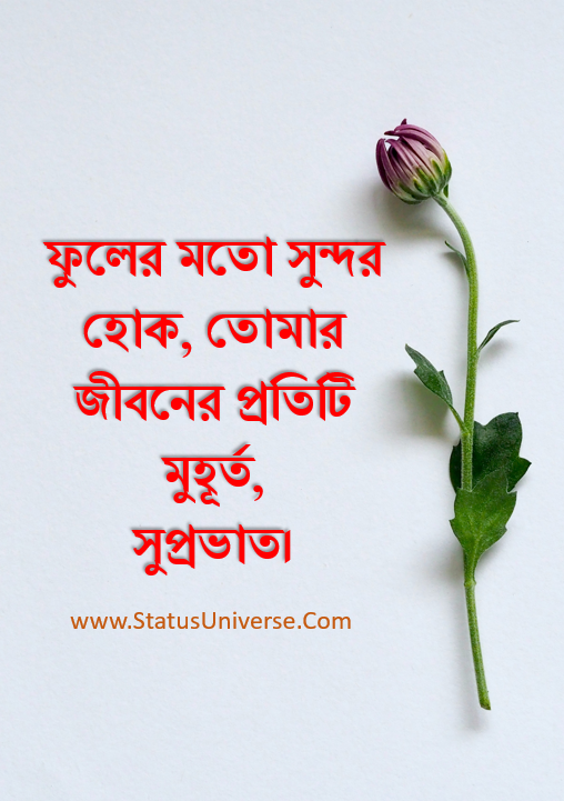 Bengali Good Morning Love Message