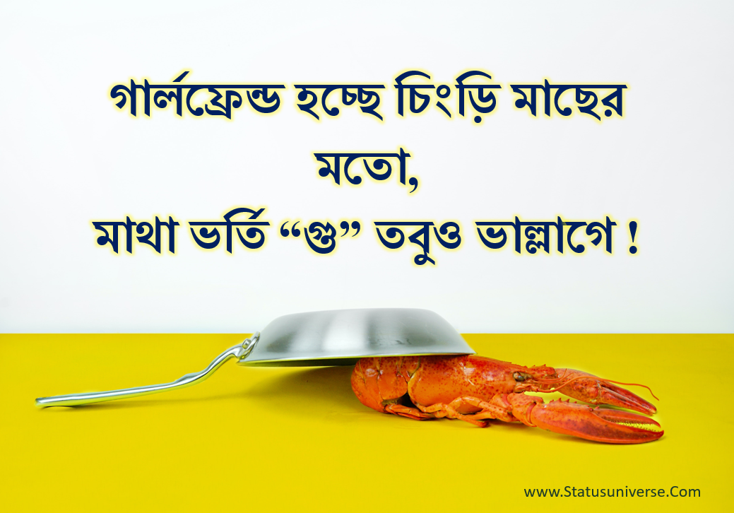 100+ Cool Boys Attitude Caption in Bengali Status Universe