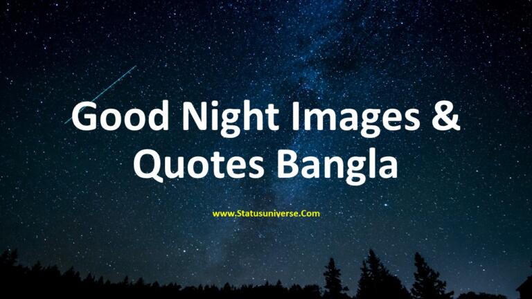Good Night Images Quotes Bangla