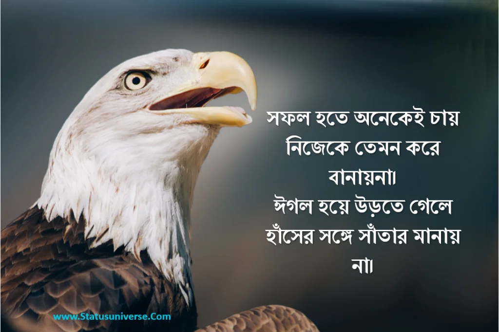 Success Caption FB
