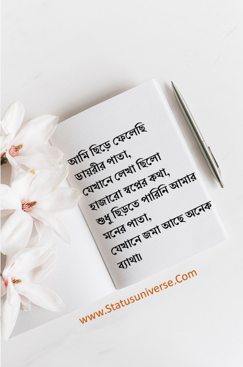 sad ইমোশনাল স্ট্যাটাস