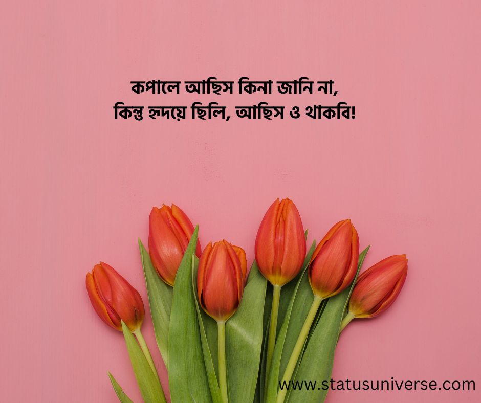 Best Love Quotes in Bengali