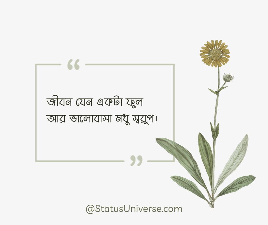 Love-Quotes-Bangla